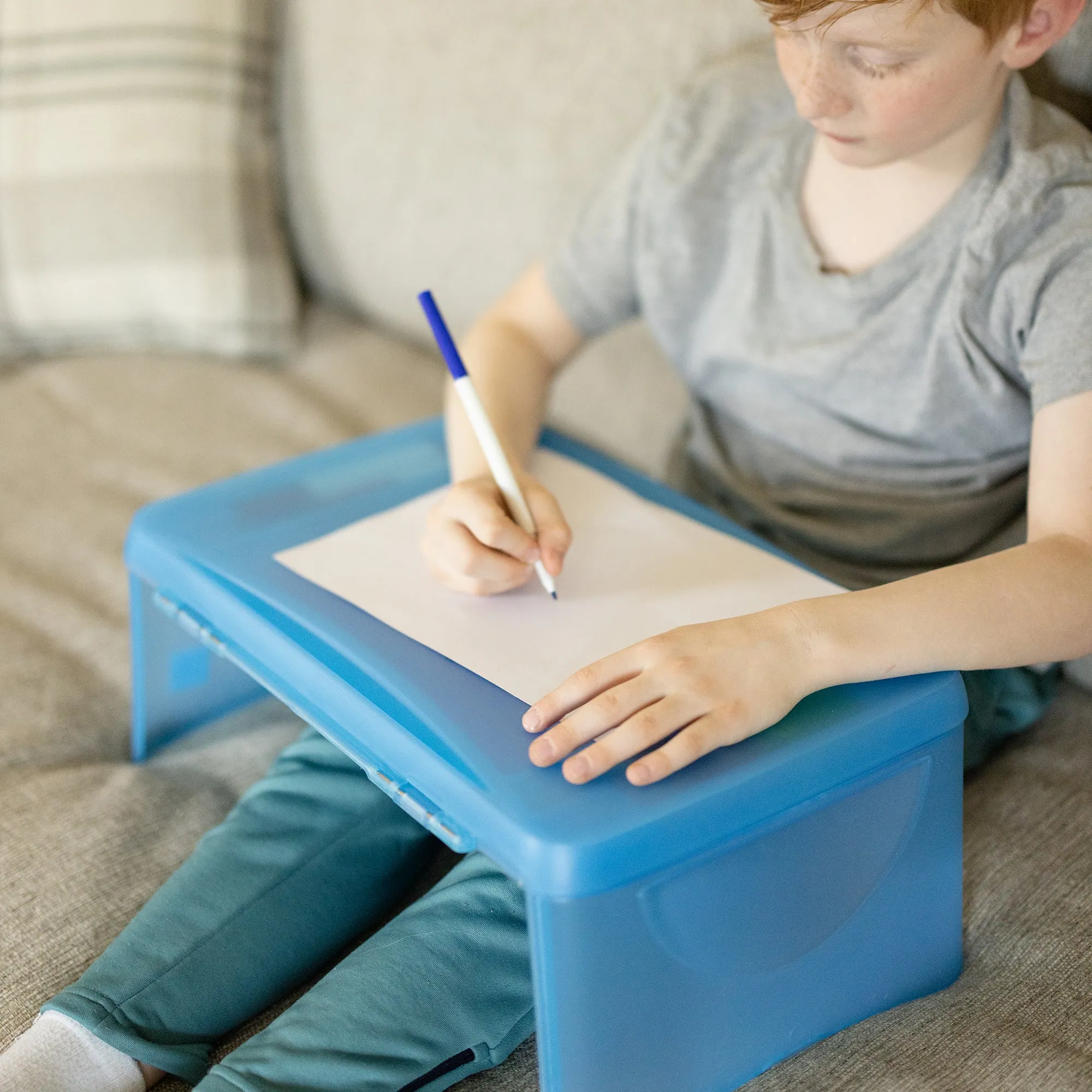Everything Mary Blue Lap Desk