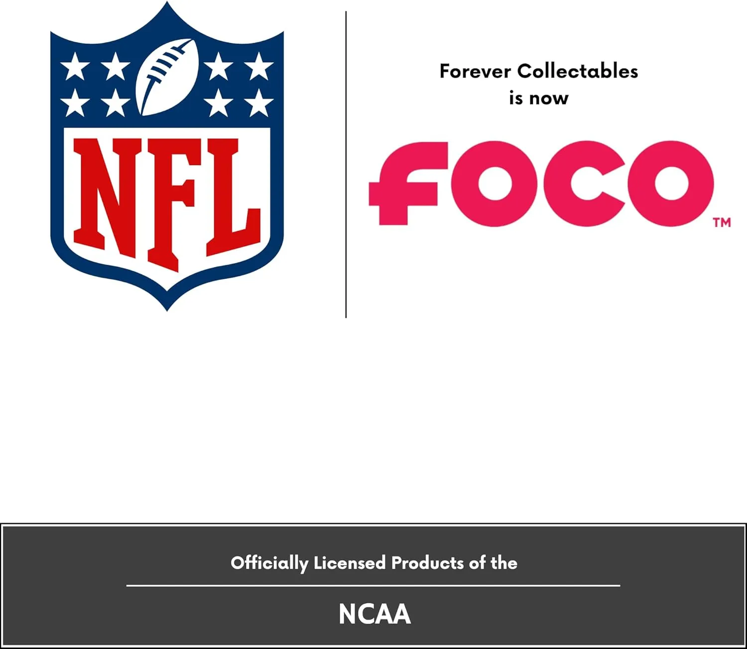 FOCO San Francisco 49ers Big Logo Drawstring Backpack with Zippered Pocket  Limited Edition Niners Bag  NFL Gear  Show Your Team Spirit with Officially Licensed 49 ers Fan Gear